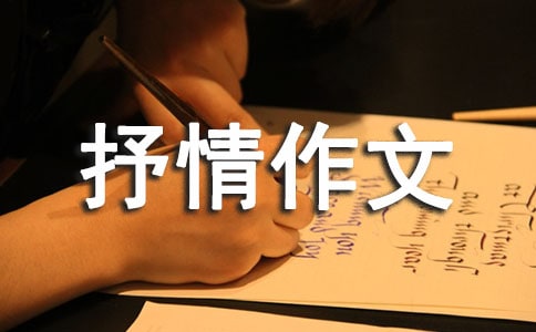 敘事抒情作文(精)