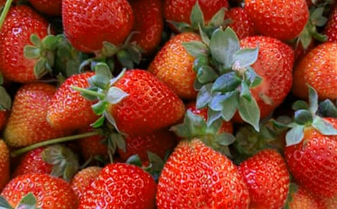 ������g(sh��)ˮ���̰������x22ƪ��