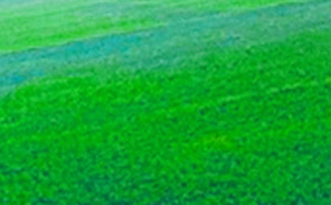 ��Ұ������600����ƪ