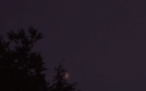 推薦唯美晚安問(wèn)候語(yǔ)75句