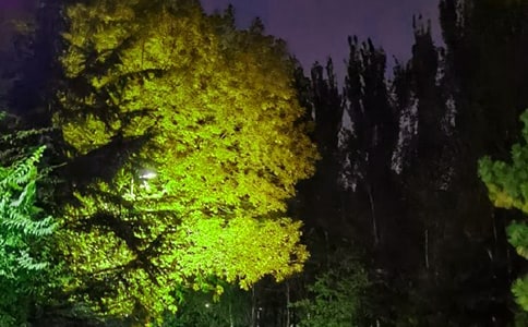 2026年常用溫馨的晚安問候語81句