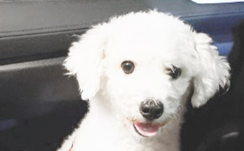 ���̵�С�����ąR��7ƪ