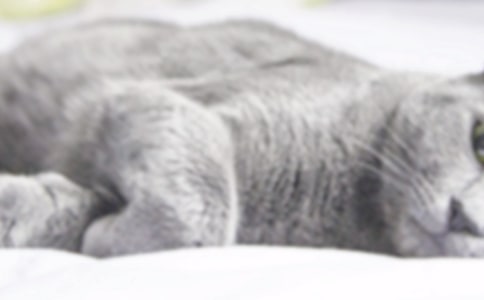 С؈����ӛ����