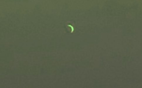 (ͨ��)��������300��10ƪ