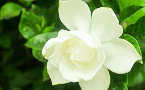 �d�ӻ��_���ģ����x105ƪ��