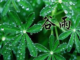 ����ף���Z(y��)