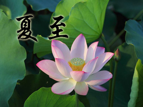 夏至祝福語 夏至祝福語