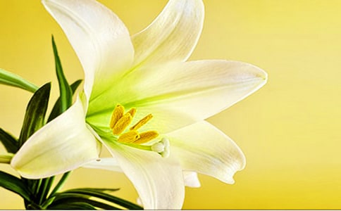 �ٺϻ��_(k��i)�̌W(xu��)��˼����