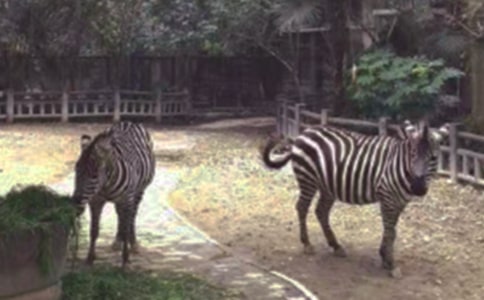 �а��Z�Ի��:�����R���h�옷_�а�̰�