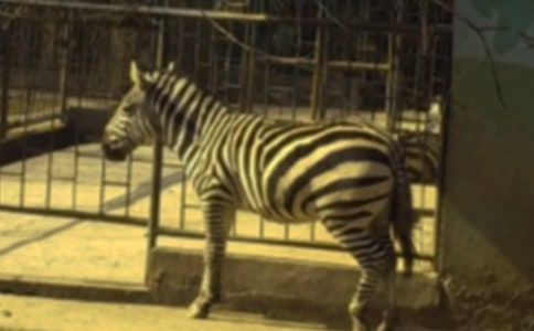 ����Ʒ�������Y׌���R�����h����ƪ