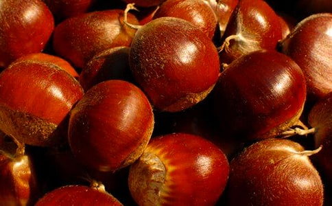 �������ӛ