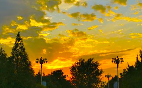 ����ǰ�ǂ������µ���Ӱɢ��