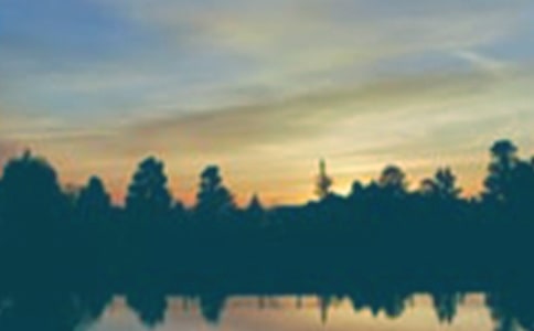 ���꼉�������ĺϼ�7ƪ