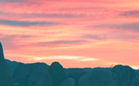 ���L(f��ng)���^�İ���ɢ��