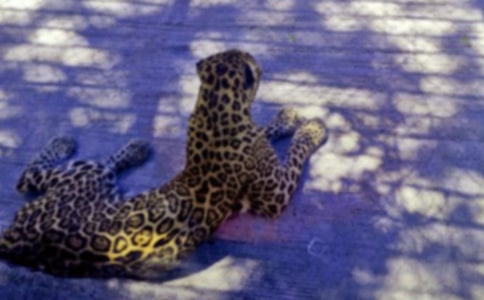 �҂���ı�������400��