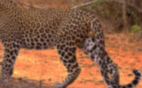 �҂���ı������꼉(j��)����