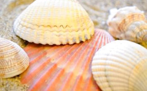 ؐ������300����ƪ