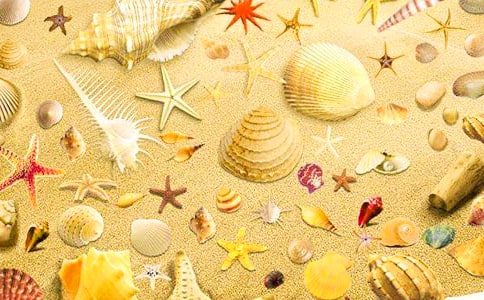 ���ă�ƪ���s����ؐ������(y��u)��̰�