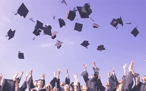 2019��������I(y��)����ȹ������Y(ji��)����