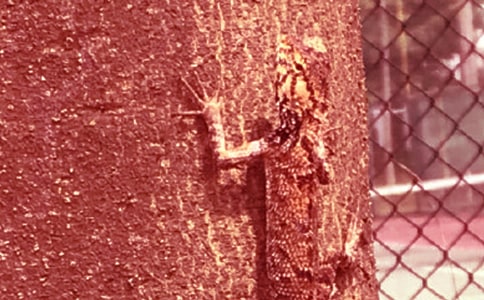 �ڻ������꼉(j��)����4ƪ