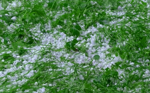 ����ı������꼉����300��