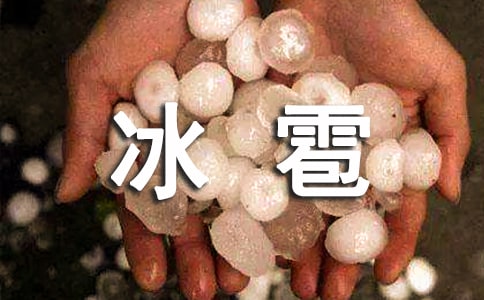 �������꼉����