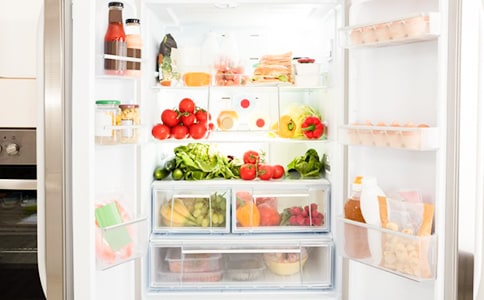 精選冰箱作文300字四篇