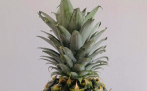 ���}���꼉(j��)���ģ����x23ƪ��