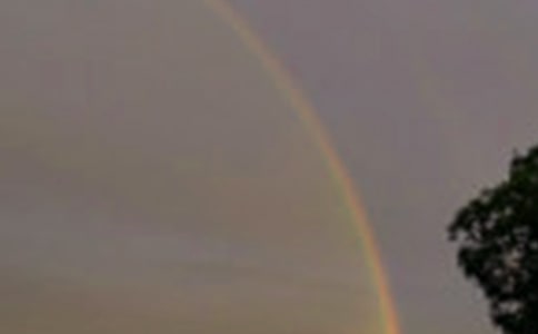 彩虹島的游戲說(shuō)明文500字