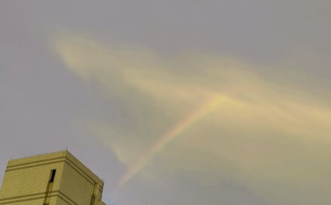 ���ʺ������x��з��ģ�ͨ��11ƪ��