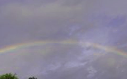 精選彩虹作文300字6篇