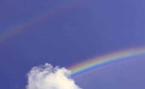 �������Ĳʺ硷�̰�