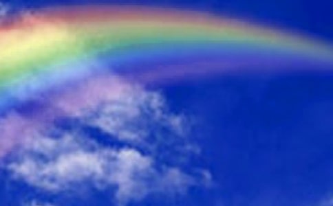 С��ƌW(xu��)��(y��u)�|(zh��)�̰�����!�ʺ��ǡ�