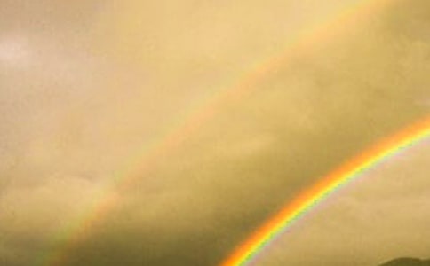 心中的彩虹作文500字左右(精選21篇)