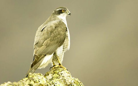 �n��������x��