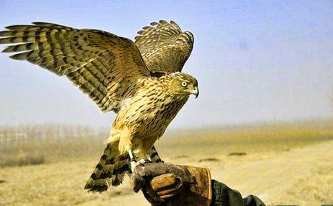 �uȺ����n����ͯԒ����