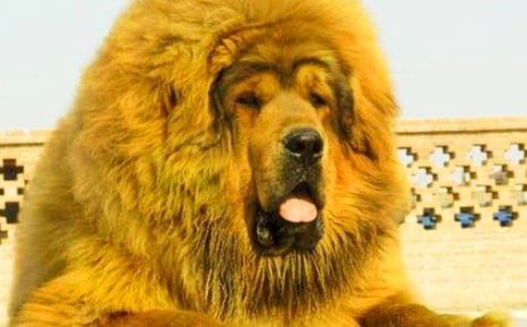 ����༪���x�������