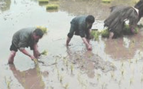 �w��������