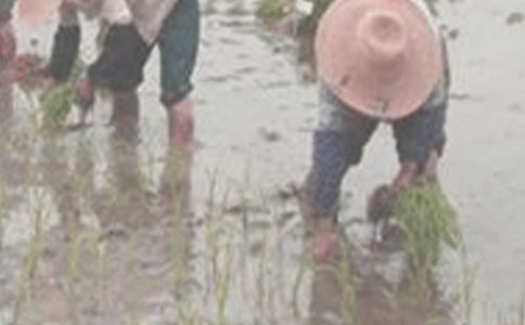 �ҌW(xu��)���˲���С�W(xu��)����2ƪ