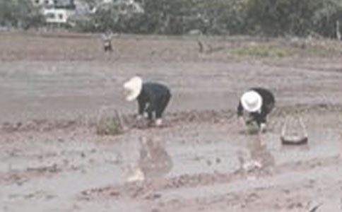 �ҌW(xu��)��(hu��)�˲������ģ����x16ƪ��