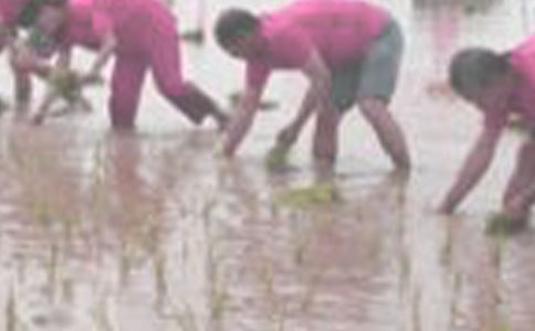 ����(y��u)�x������������15ƪ