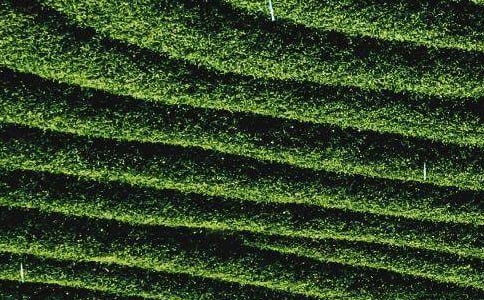 ���~�I�u��ͬ(���x15ƪ)