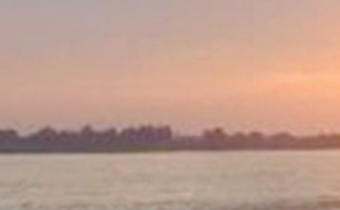 長江七號觀后感(15篇)