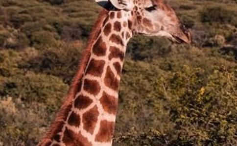 �L�i¹�ͺ�؂Ԣ�Թ���