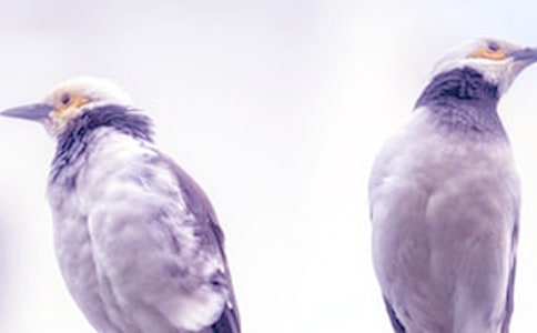 ���C�����ܵı��C�������x6ƪ��