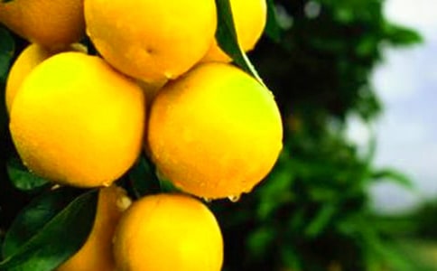 ���ӵ��������꼉(j��)����