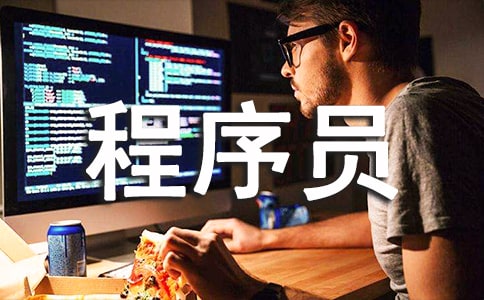 公司程序員個(gè)人工作總結(jié)6篇