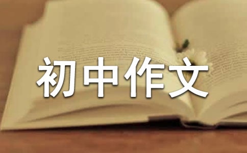理性愛國(guó)初中作文