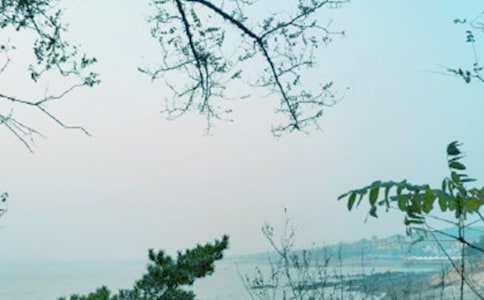 市總工會的春風(fēng)行動情況總結(jié)