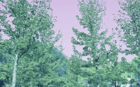 �D�´��L(f��ng)��(j��ng)��Ԋ(sh��)��